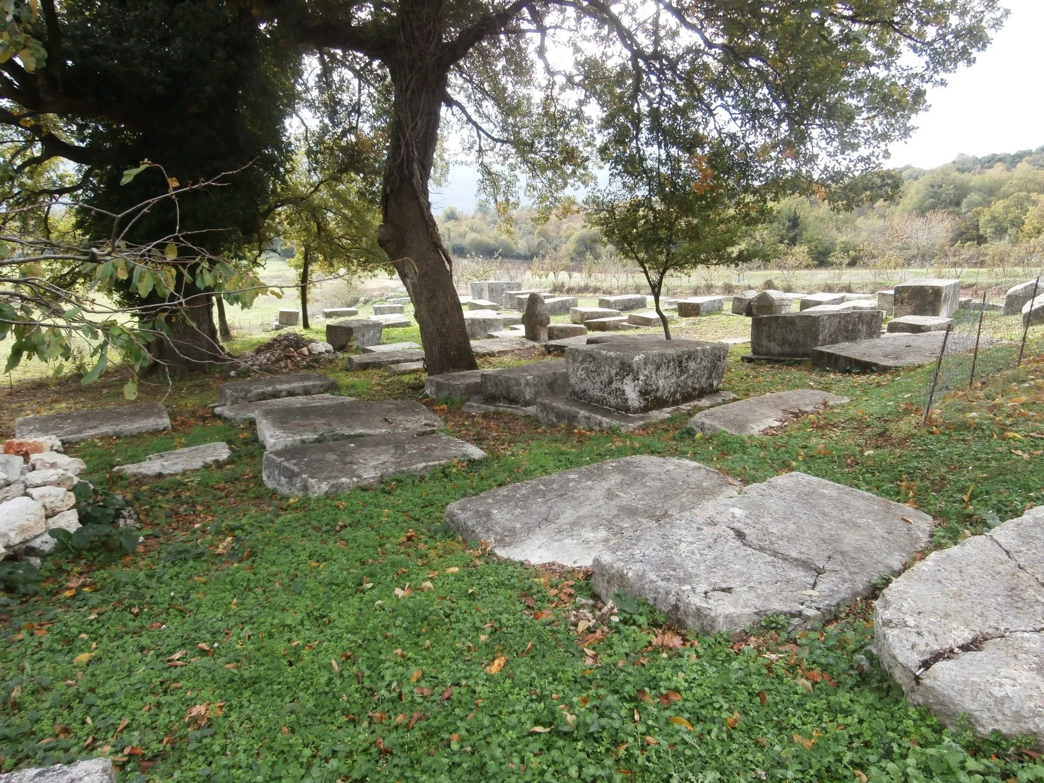 Nekropola Boljuni Stolac